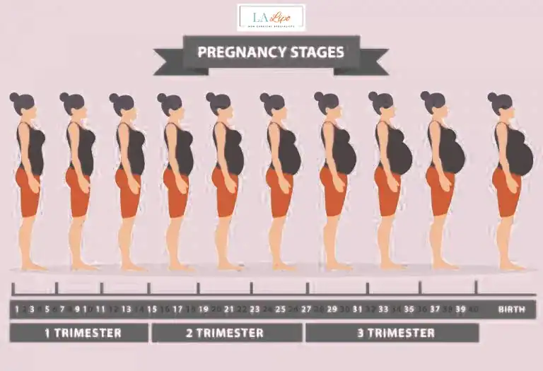 First Trimester (Weeks 1–12): Early Changes You Might Not Notice Southend-on-Sea